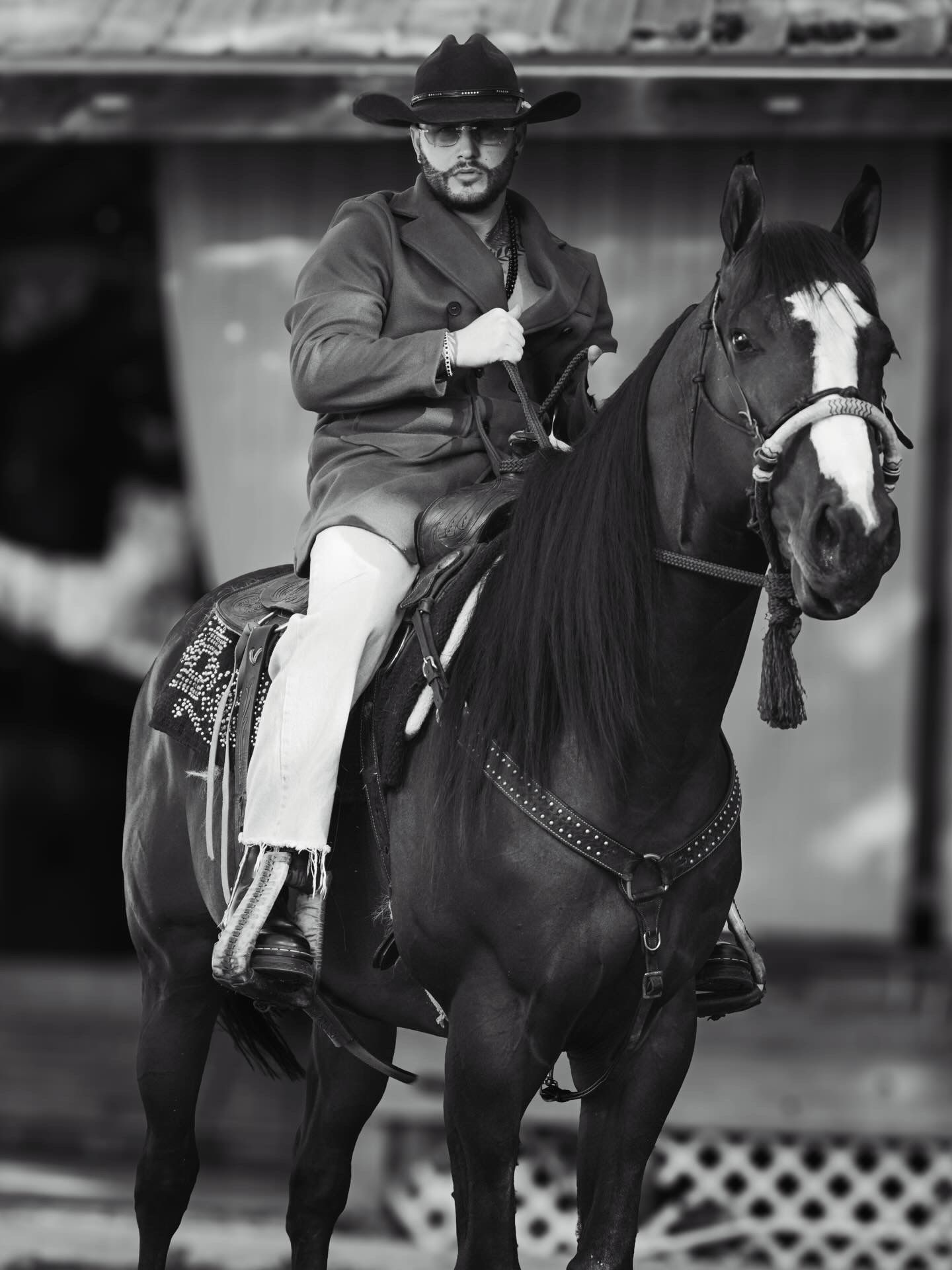 DCA on horseback